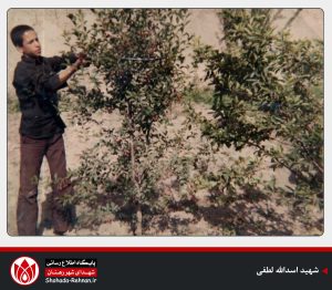 شهید اسدالله لطفی-