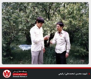 شهید محسن (محمدعلی) رفیعی-