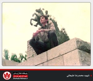 شهید محمدرضا علیجانی-