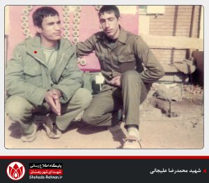 شهید محمدرضا علیجانی-+